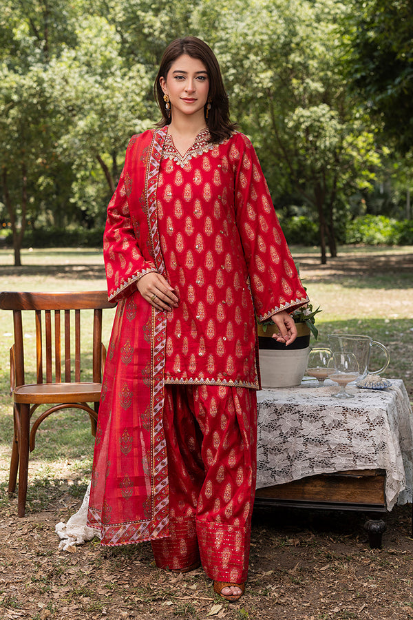 NAZNEEN-ZP-05-RED
