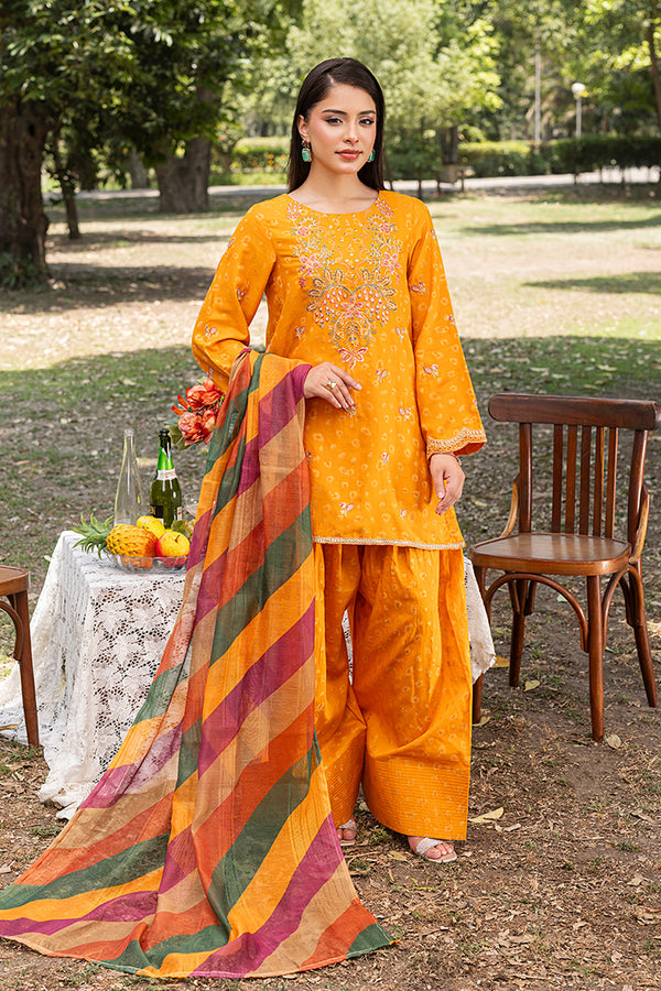 KASHAF-ZP-09-TANGERINE